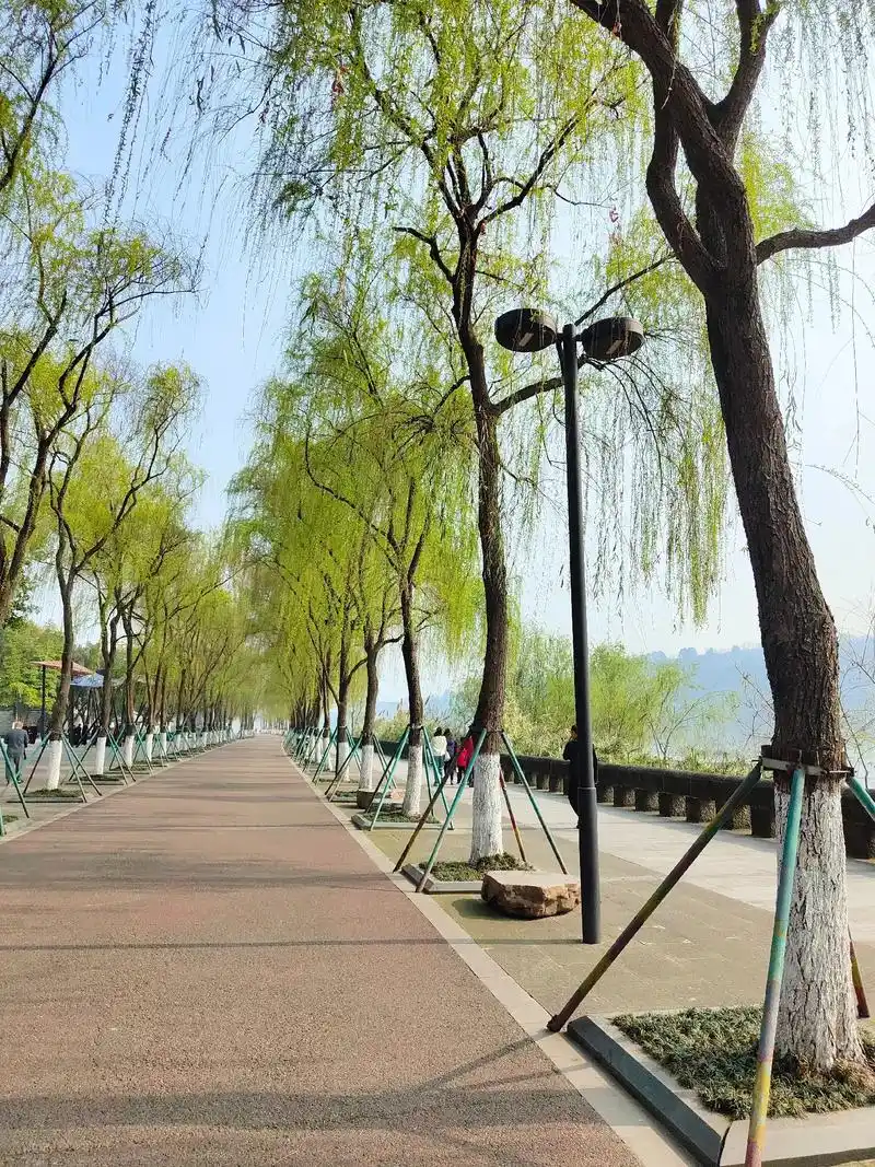 天气晴朗阳光明媚 春天已经如约而至,医院复查回来,继续跑起来