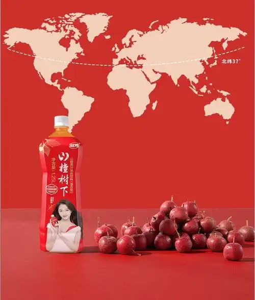 山楂树下1.25l瓶装整箱装风味饮料山楂果汁果肉饮品解腻 1.