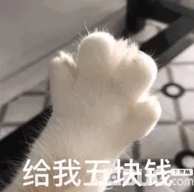抖音猫爪给我五块钱表情包套图分享