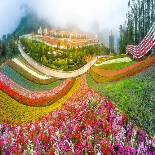 [十里蓝山-玛琪雅朵花海 寻梦谷]漳州长泰十里蓝山大门票