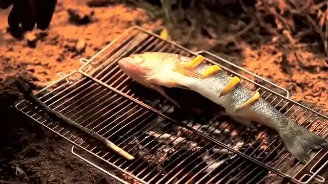 实拍野外炭火烤鱼,自己钓上来的鱼吃起来太香了!