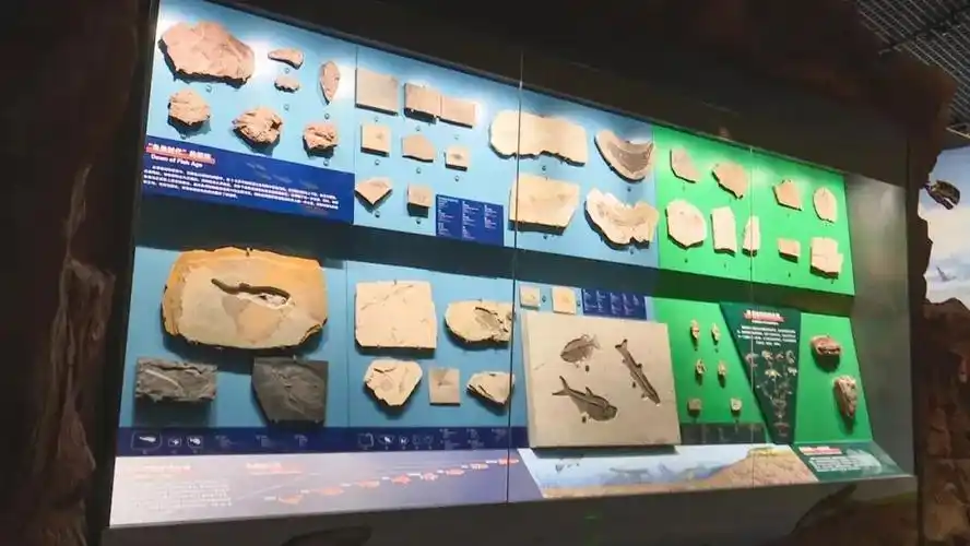 8月17日13:27,cctv-10将揭秘澄江古生物奥秘的故事