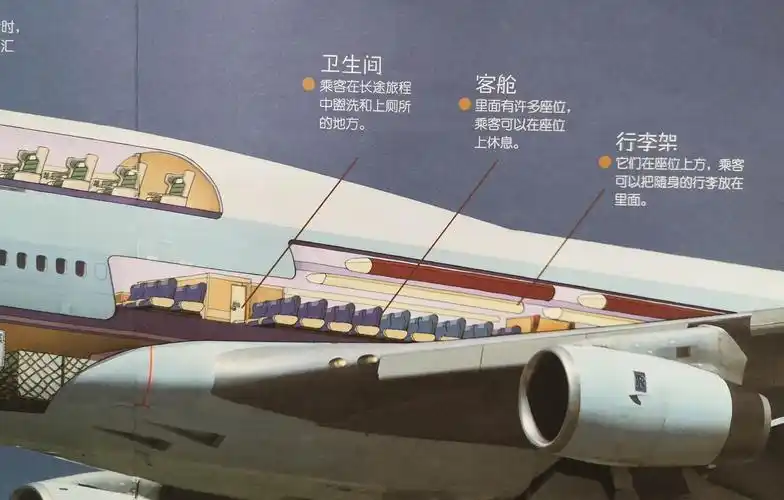 知道其他几种飞机的名称和作用;        3.观察飞机造型并尝试用绘图