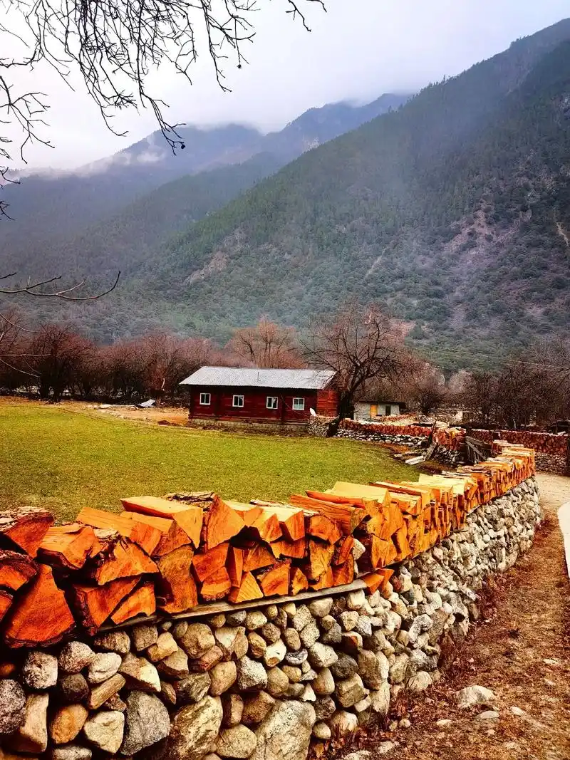 罗马村-从察隅到然乌途中很小众的一个村庄.这里一年只接待20 - 抖音