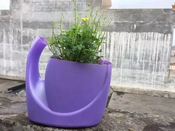 变废为宝--原来用洗衣液瓶可以diy成这样的"花盆",美的不要不要的!