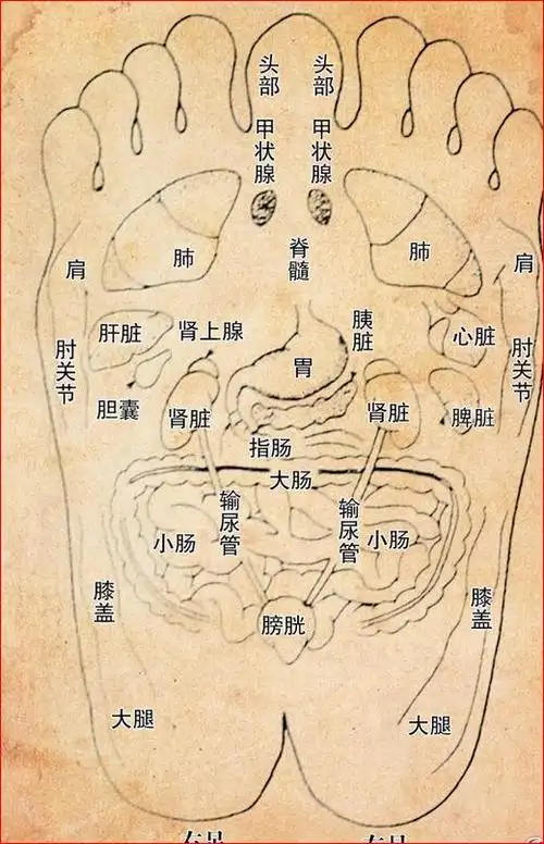 按摩足部反射区轻松搞定前列腺炎