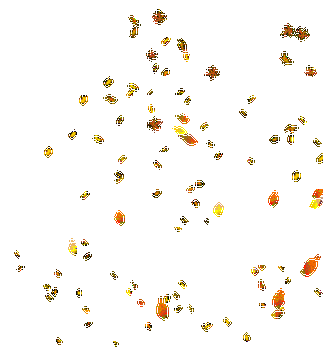 【gif-动图】— 透明.飘落.雨雪等gif格式素材