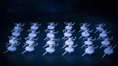 中芭新春演出季送上节日大礼包