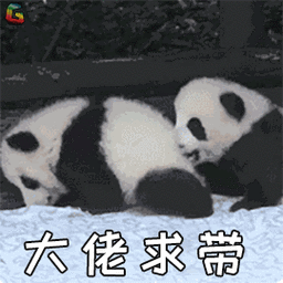 王者荣耀大佬求带soogifsoogif出品gif动图_动态图_表情包下载_soogif