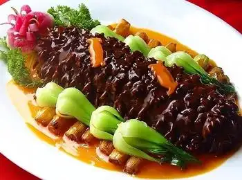 糖醋活海参的做法大全_家常做法_怎么做好吃-中医养生网_养生保健