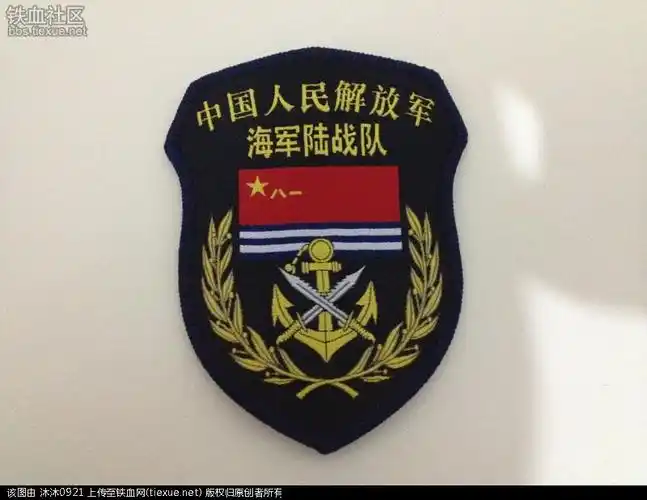 [原创]求鉴定 臂章