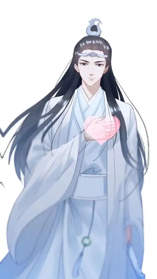 陈情令肖战王一博,动漫忘羡