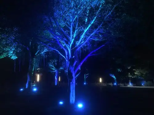 留安山公园新装夜景射灯