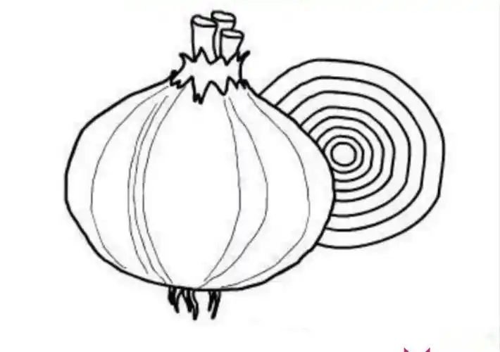 儿童画蔬菜简笔画洋葱