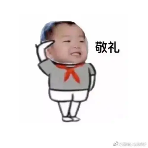 求助,敬礼那个表情包的原图有没有人有啊