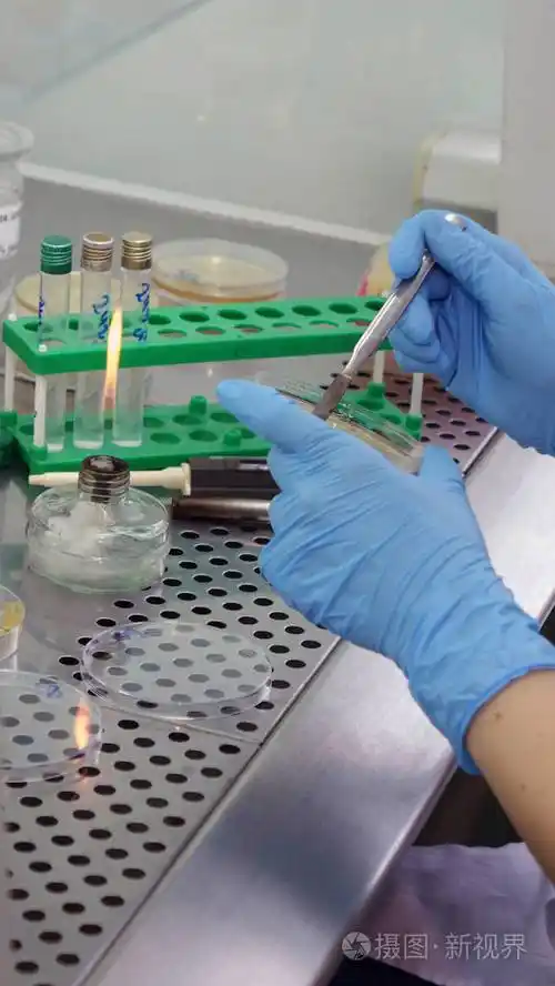 这位科学家在实验室里进行研究生物技术