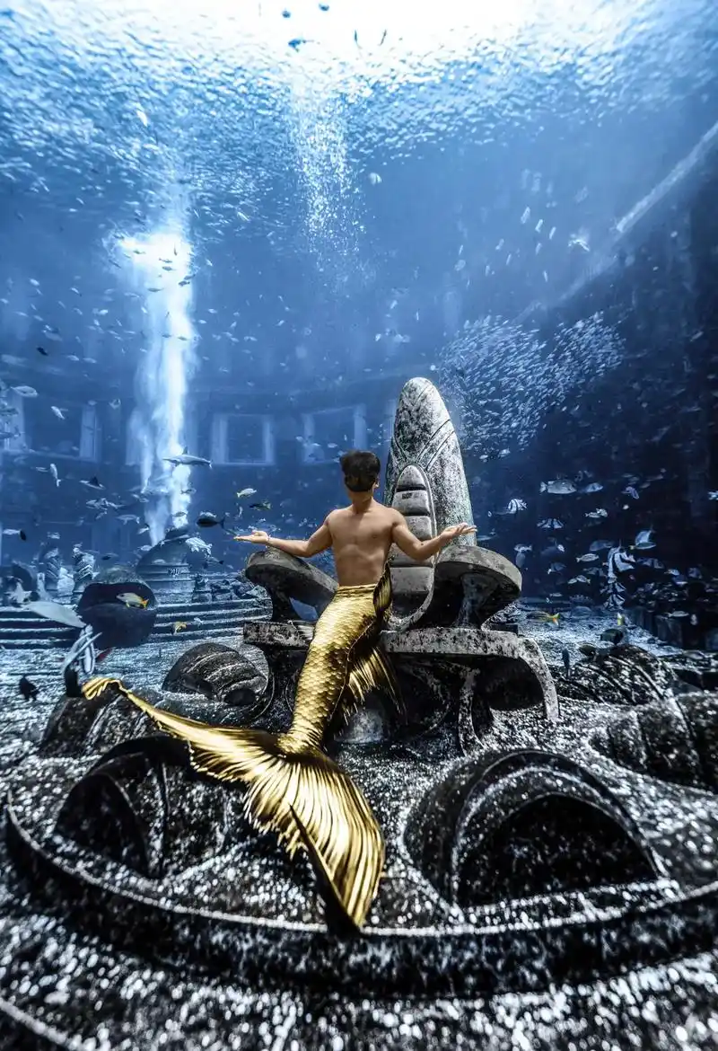 我就一句话有腹肌的美男鱼你会不会爱.