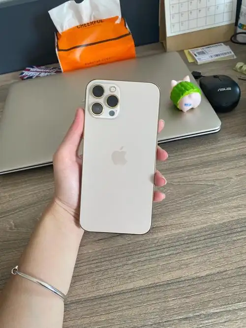 苹果12promax256g95新铁子们喜欢就滴滴