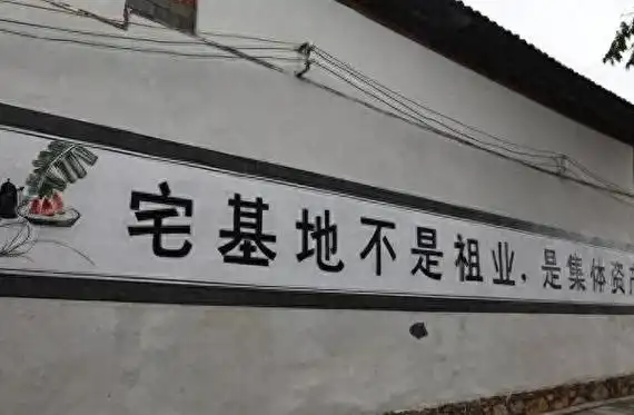 "痛了"6亿农民的心,农村墙上的标语又"热了",这些是对是错