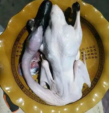 [麻鸭批发]黑嘴麻鸭价格10.00元/斤 - 一亩田