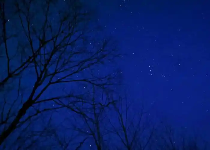 乡村下保留一点的点点星星躲在树梢里悄悄的向你眨眼