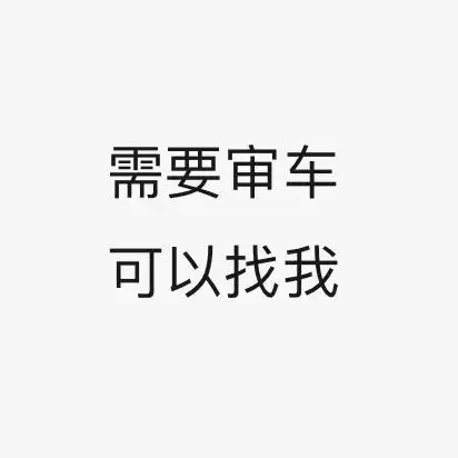 需要审车的可以找我