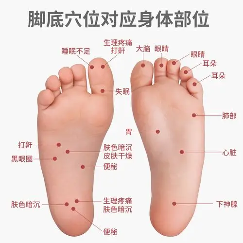 脚底按摩器足底家用刺激揉捏足部滚轮轮式脚步足底按摩垫