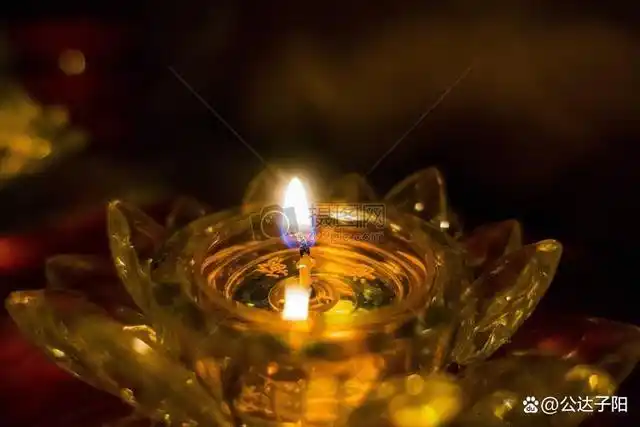 月下枝头中夜分,孤灯一盏到天明《情 怨》