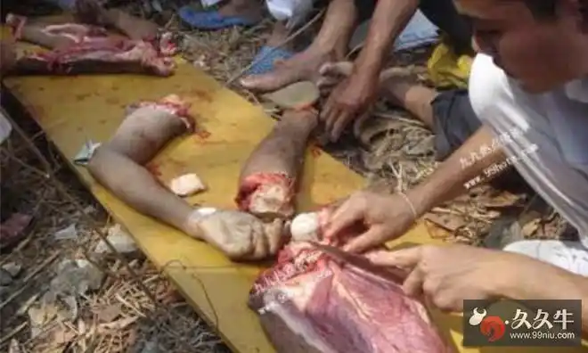 就绑起来抬到后院屠宰,然后整个春节期间都可以尽情地吃人肉,还会卖给