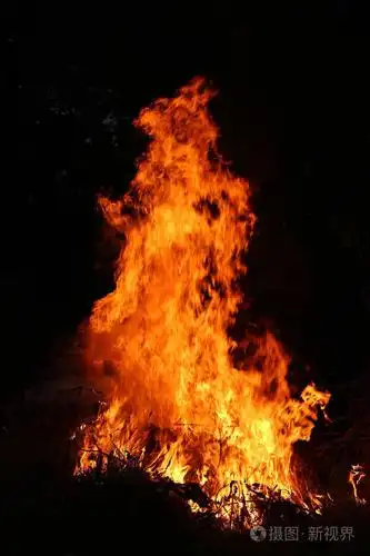 火火焰燃烧着的草