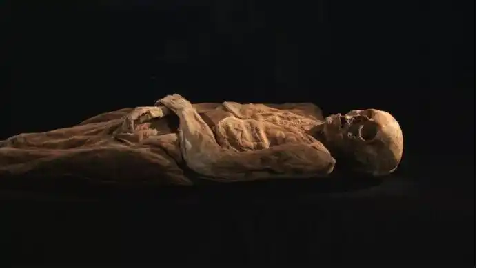 生物科学技术再度突破,科学家利用dna数据,"复原"木乃伊真容