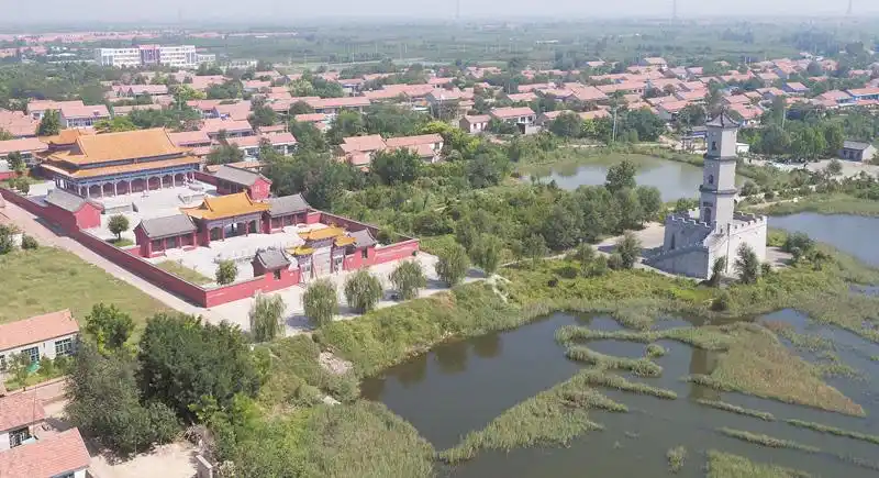 一进沾化区古城镇,枣林遍地,芦苇塘越来越多,还有随风摆动的杨柳.