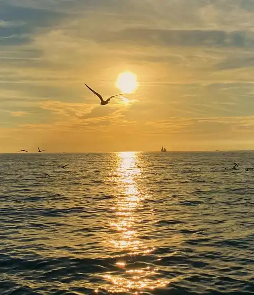 key west 西礁岛 - 世界落日之都, 艺术静修之处