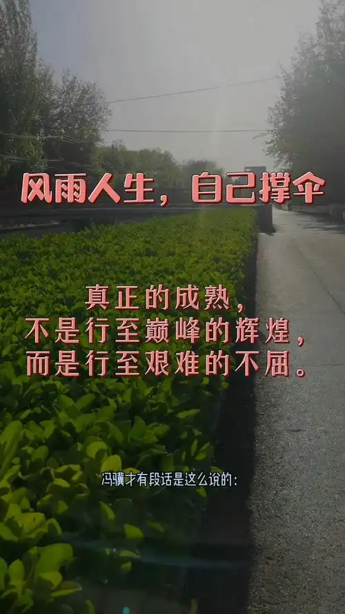 励志正能量#风雨人生,自己撑伞