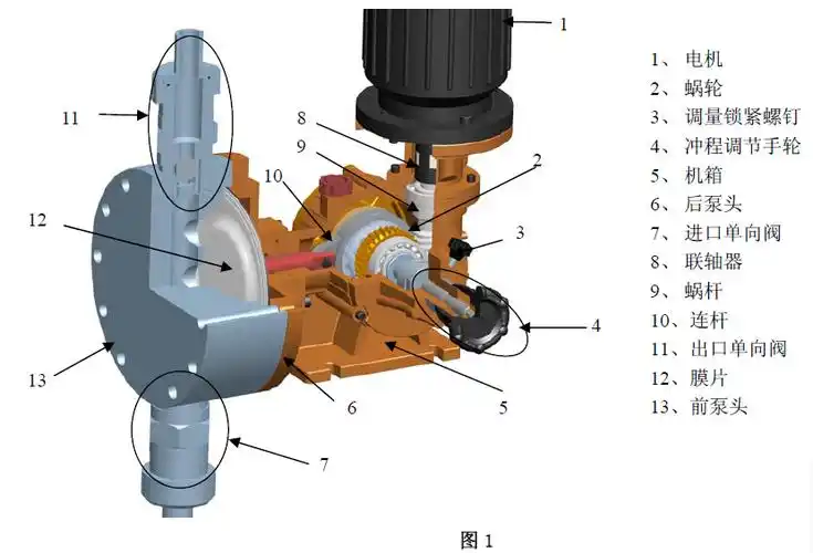 隔膜泵结构图.png