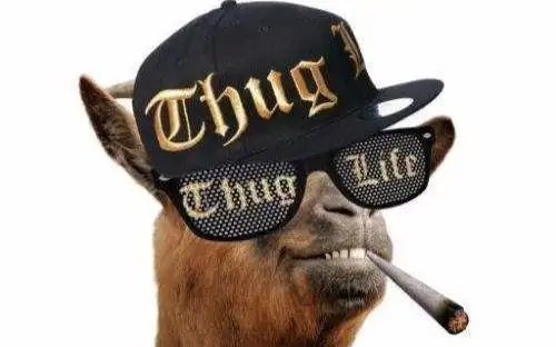 360影视-影视搜索