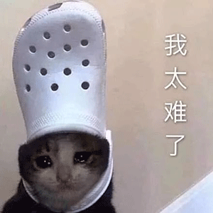 300_300gif 动态图 动图