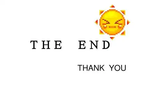 the end thank you