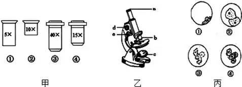 如图分别为镜头,显微镜以及先后在显微镜视野中看到的不同的细胞图象