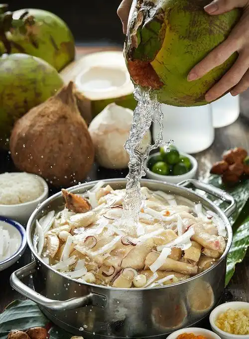 海南椰子肉新鲜即食 无糖椰子鸡煲汤配料 商用金椰肉块榨汁