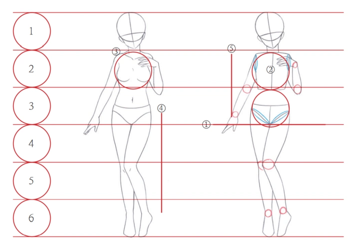 漫画人物结构画不好?看看别人是怎么画的(强烈建议收藏)
