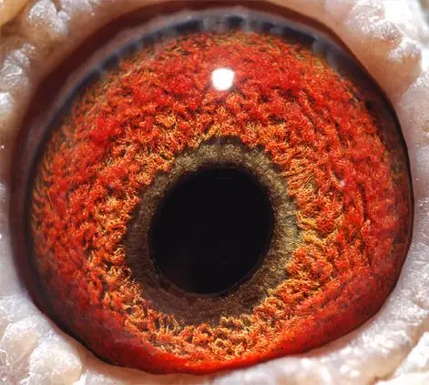 胡本原舍-年轻艺术家直孙女2