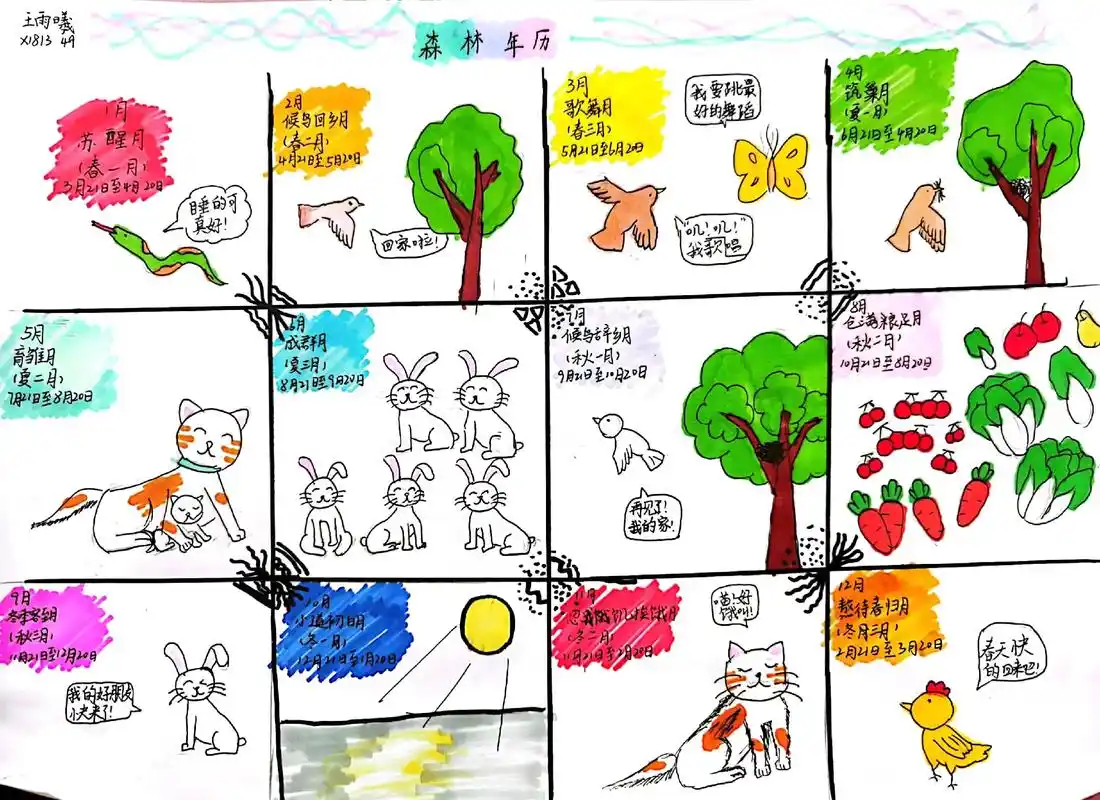 《森林报61春》/手绘森林年历 #一起来读书  - 抖音
