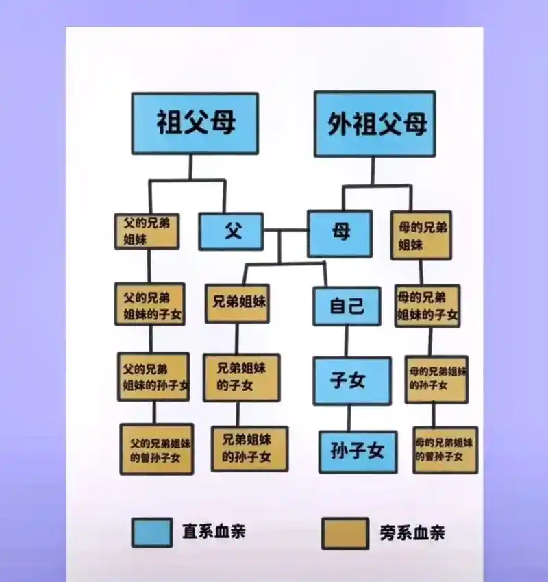血缘关系称呼图解