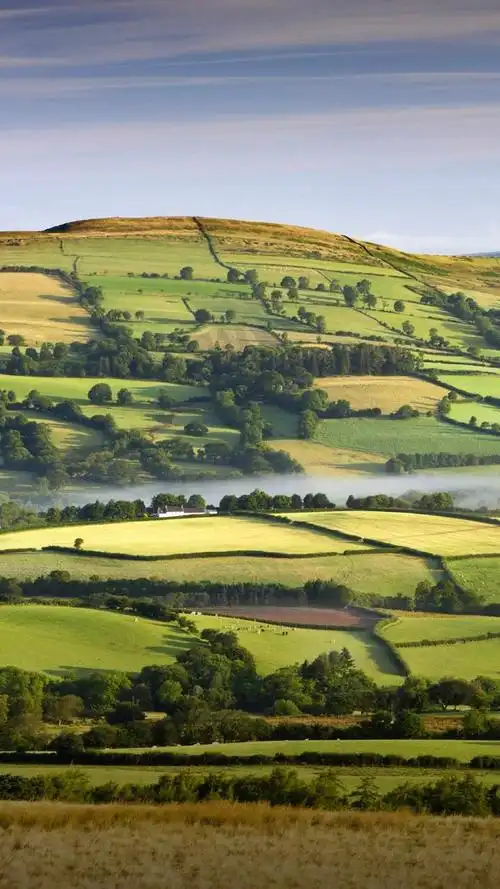 庄园牧场是一只好股票,当一个人发现好股票时,最大的希望就是希望它别