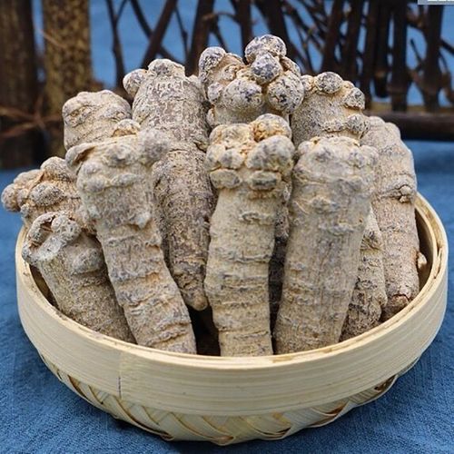 荟珍堂 云南文山林下人参三七250g 16头18头20头30头水洗春三七人参七