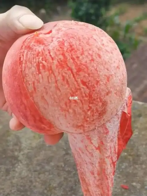 超大号爆汁水蜜桃闭眼入也不让你踩雷