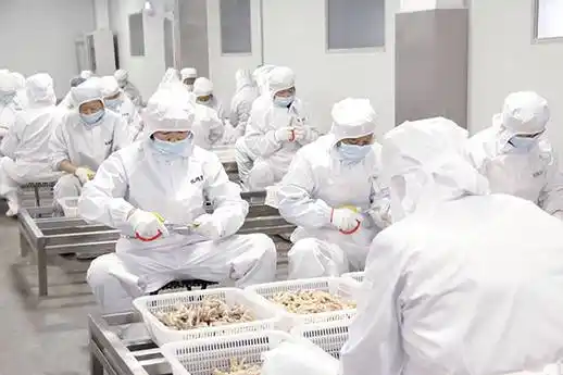 哪里有无骨鸡爪半成品批发厂家_进行_加工_柠檬