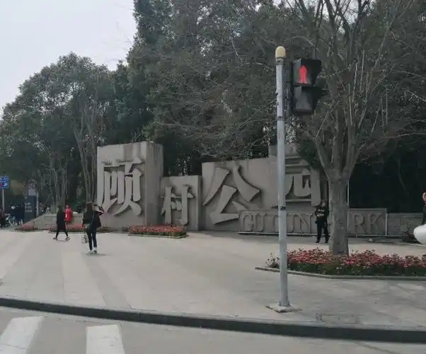 解析上海市顾村公园设计问题:主要设施过于集中,二期应分散建设