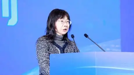 化工作办公室专职副主任,党组成员陈文涛发表致辞,中国科学院院士杨伟